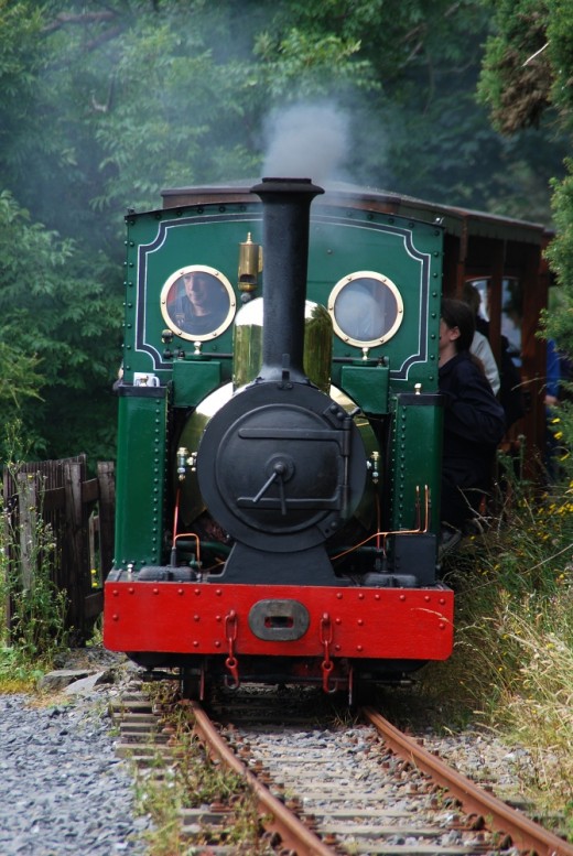To the smaller 2ft gauge lines -  David Lloyd-Jones 2010