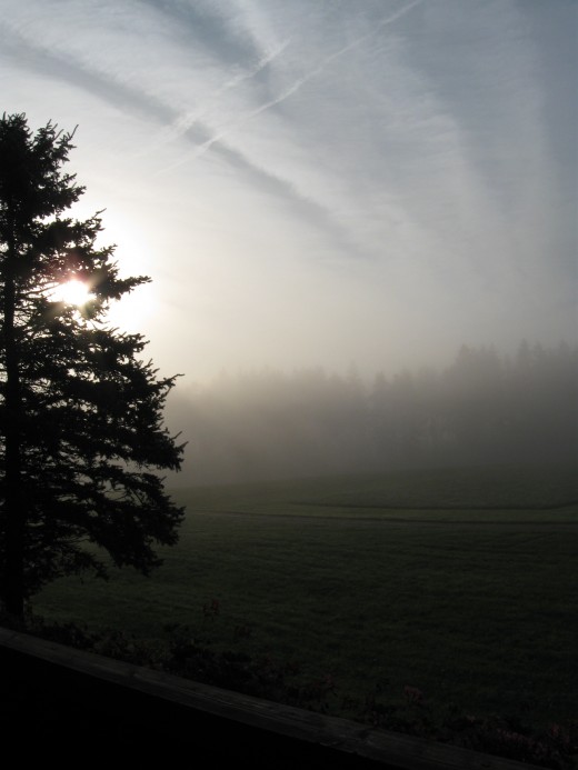 Into the fog and shadow