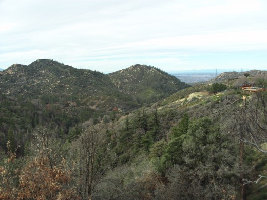 Looking at the magnificent view as I talk a walk on the backside of the San Bernardino Mountains.