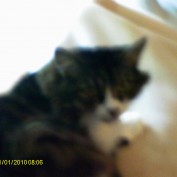 Jelanie profile image