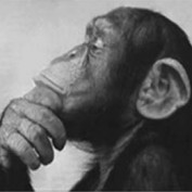 goso321 profile image