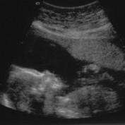 parents profile image