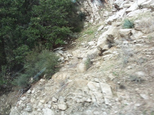 Bushes and boulders on the hillside.