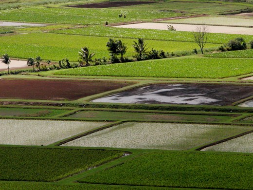 Exotic Locations May Also Have Investment Land Available.