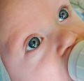 Retinopathy of Prematurity:  A Growing Problem with Low Birth Weight Infants