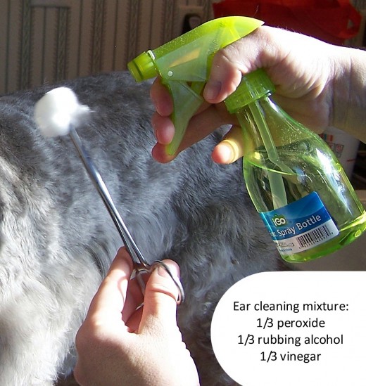 Spray cleaning solution on your cotton ball.