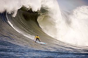 Surfing is a very popular past time in Australia  