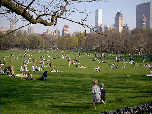 Visit Central Park
