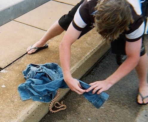 Snake rescue