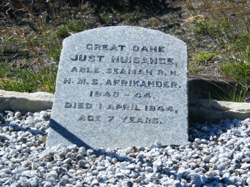 AB Just Nuisance's grave. Photo by Andrew Massyn/Wikipedia