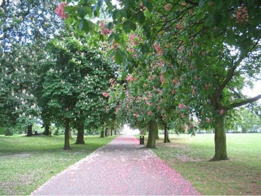 Regent's Park