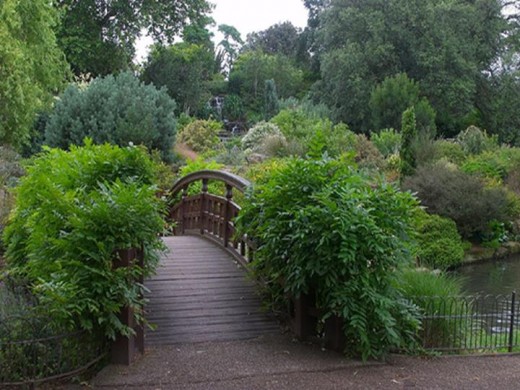 Bridge in Queen Mary Garden, Regents Park