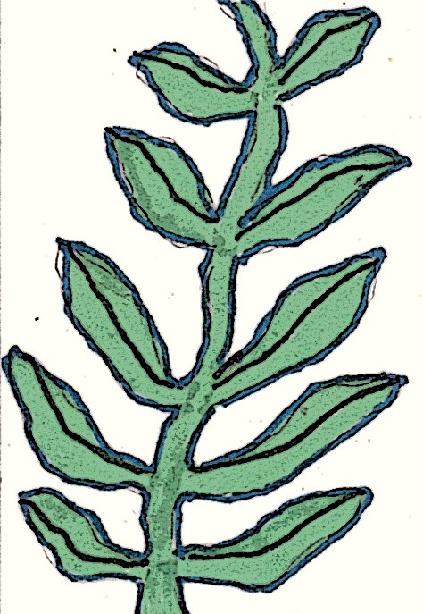 Making art from leaves