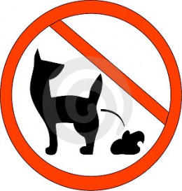 https://usercontent1.hubstatic.com/4399134_f260.jpg