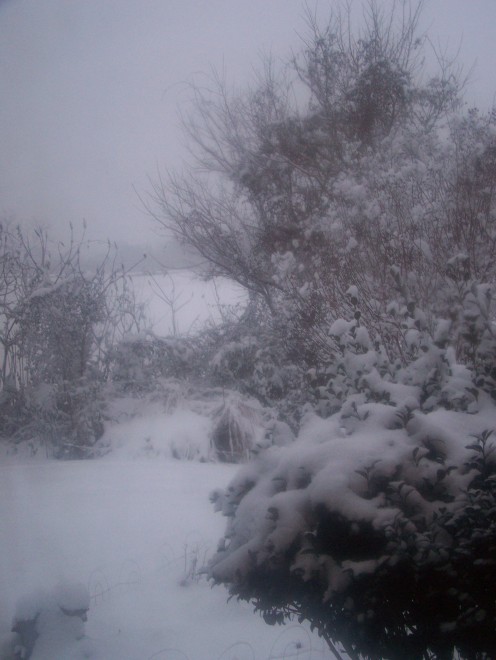 Christmas snow 2010
