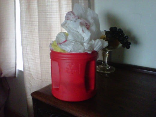 Place plastic bags inside container