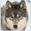 Redsparrow633 profile image