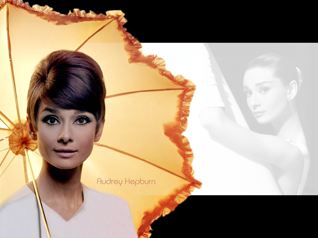 HubPages profile picture for @elope
