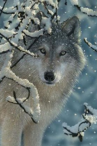 Sam would turn into a wolf when the weather became cold.