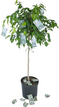 When you understand how your investments work, it's almost like having a money tree.