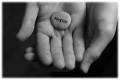 Forgive Those Who Trespass