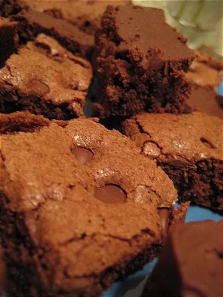 Decadent Chocolate Chip Brownies