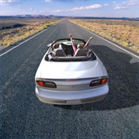 Avoid long car rides every weekend