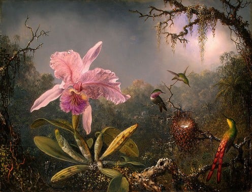Martin Johnson Heade-Cattleya Orchid and Three Brazilian Hummingbirds