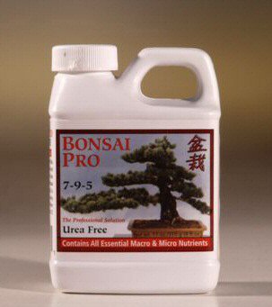 Rotate brands and manufacturers when feeding and fertilizing your indoor bonsai trees.