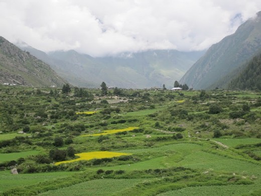 Natural beauty of Himachal Pradesh near Thanedar.