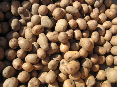 potatoes