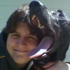 blacklab83 profile image