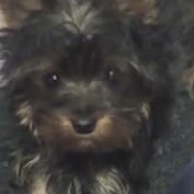bobbie jc profile image