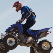 scooterguy profile image