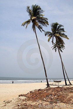 http://s3.hubimg.com/u/4448738_f248.jpg