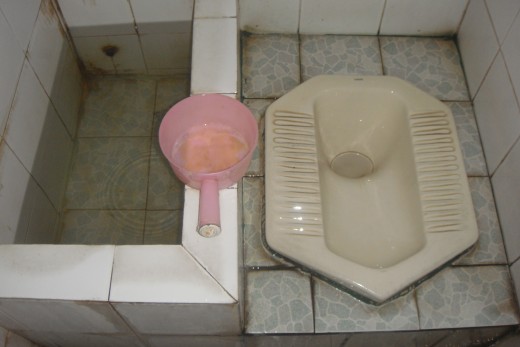 Now I know why the girl came by after I had been on bus for a couple of hours and handed me a couple of napkins--tissues.  They were for the  Thai  Hong Nam--(Room Water)--Bathroom. You decide how to use it and flush!!!  
