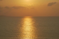 http://s3.hubimg.com/u/4461366_f248.jpg