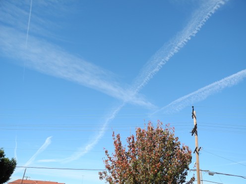 January 2011, a few days after New Year's. My neighborhood in San Diego (Normal Heights), chemtrail grids all over the skies above the area.