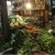 Vegetable shop at Russel Market Vegetable shop at Russel Market