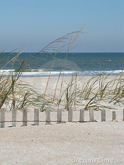 http://s4.hubimg.com/u/4481255_f248.jpg
