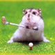 HubPages profile picture for @grog