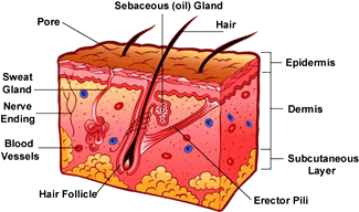 Penetration of three skin layers is important in scar removal