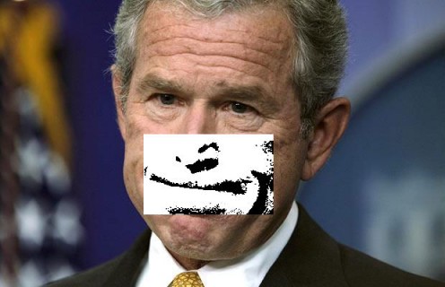 Bush expressionBIC 2011