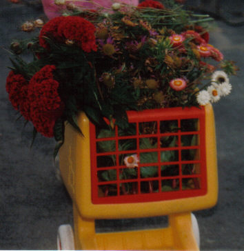 my daughter loved to push her cart around and fill it with cut flowers 