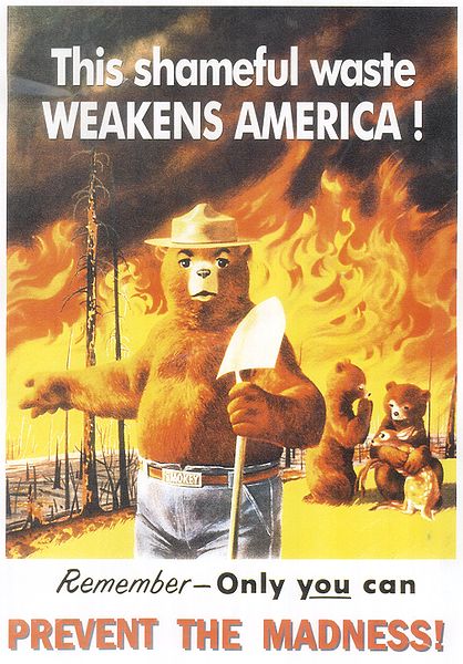 Many homes have caught fire in California because of laziness or arson.  Smokey the bear has been fighting that a long time.   The loss of massive forests and wildlife is so sad.