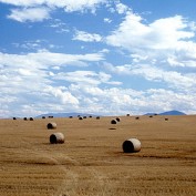 Big Sky profile image