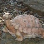 maxymuno profile image