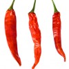 spicyhealth profile image