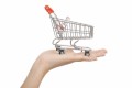 Money Saving Tips On Buying Groceries: Can Shopping On Line Save You Money On Your Grocery Bills?