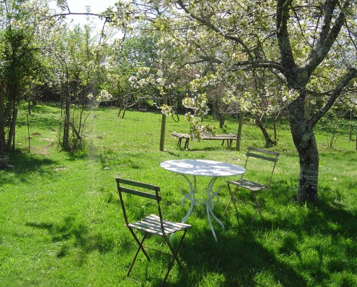 Pretty as a picture in Spring
